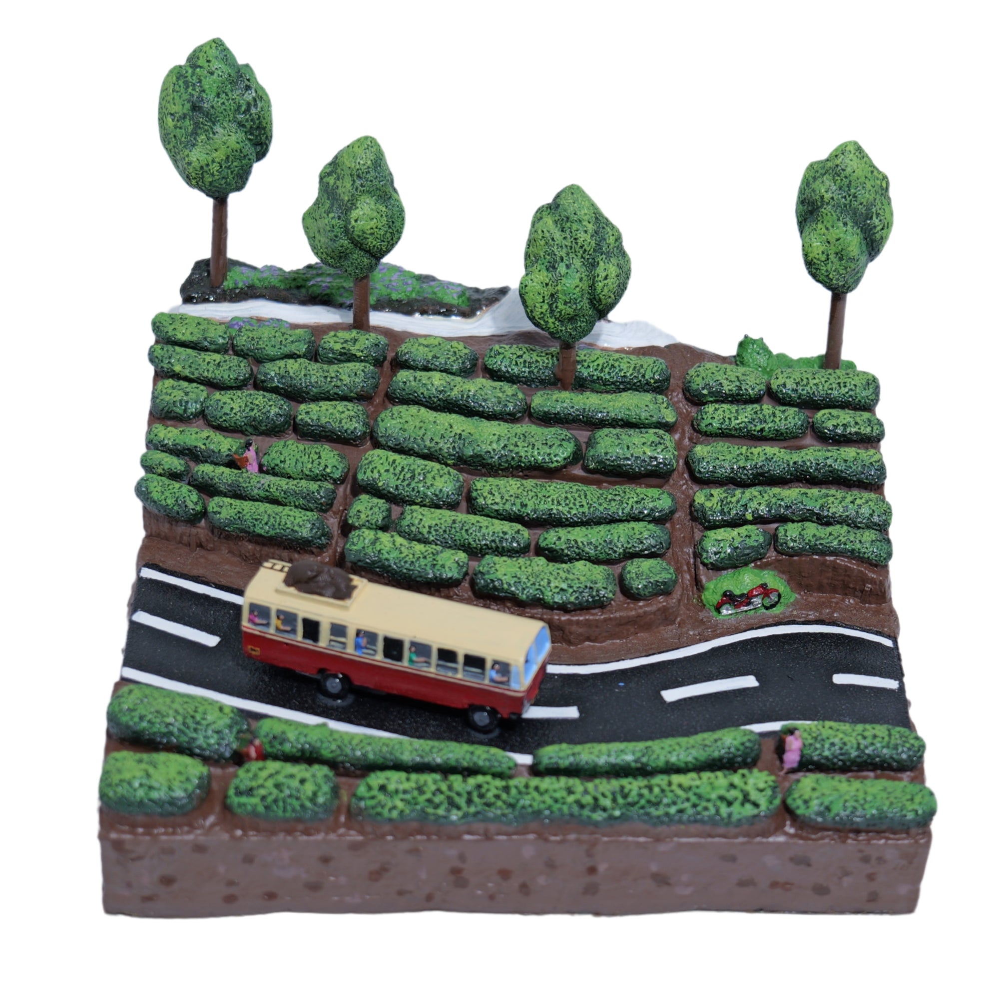 Hills of the South