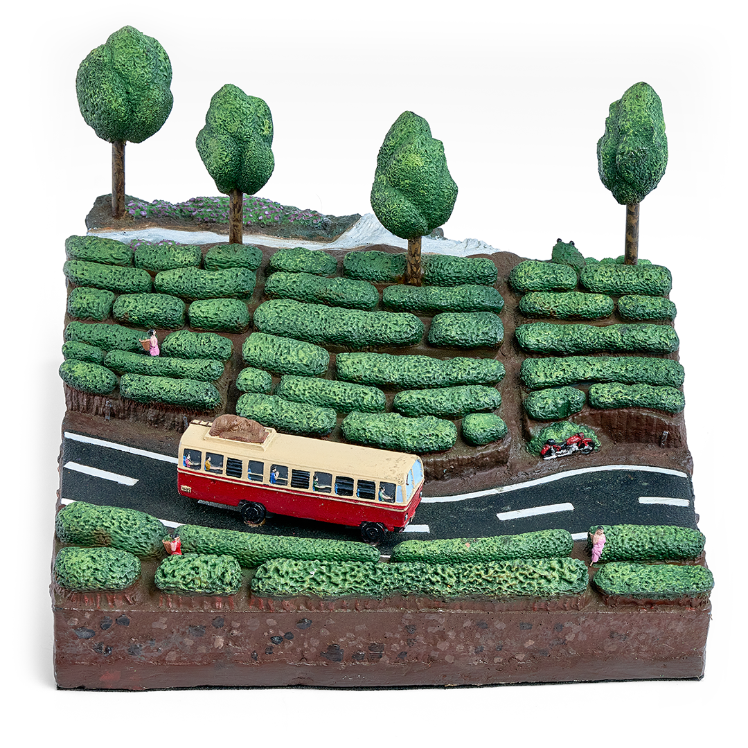 Hills of the South
