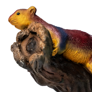 Malabar Giant Squirrel