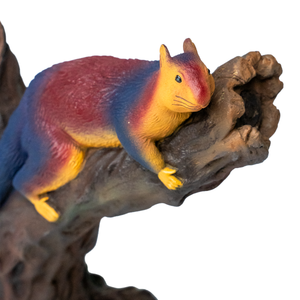 Malabar Giant Squirrel