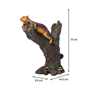 Malabar Giant Squirrel