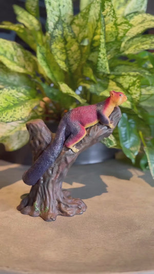 Malabar Giant Squirrel